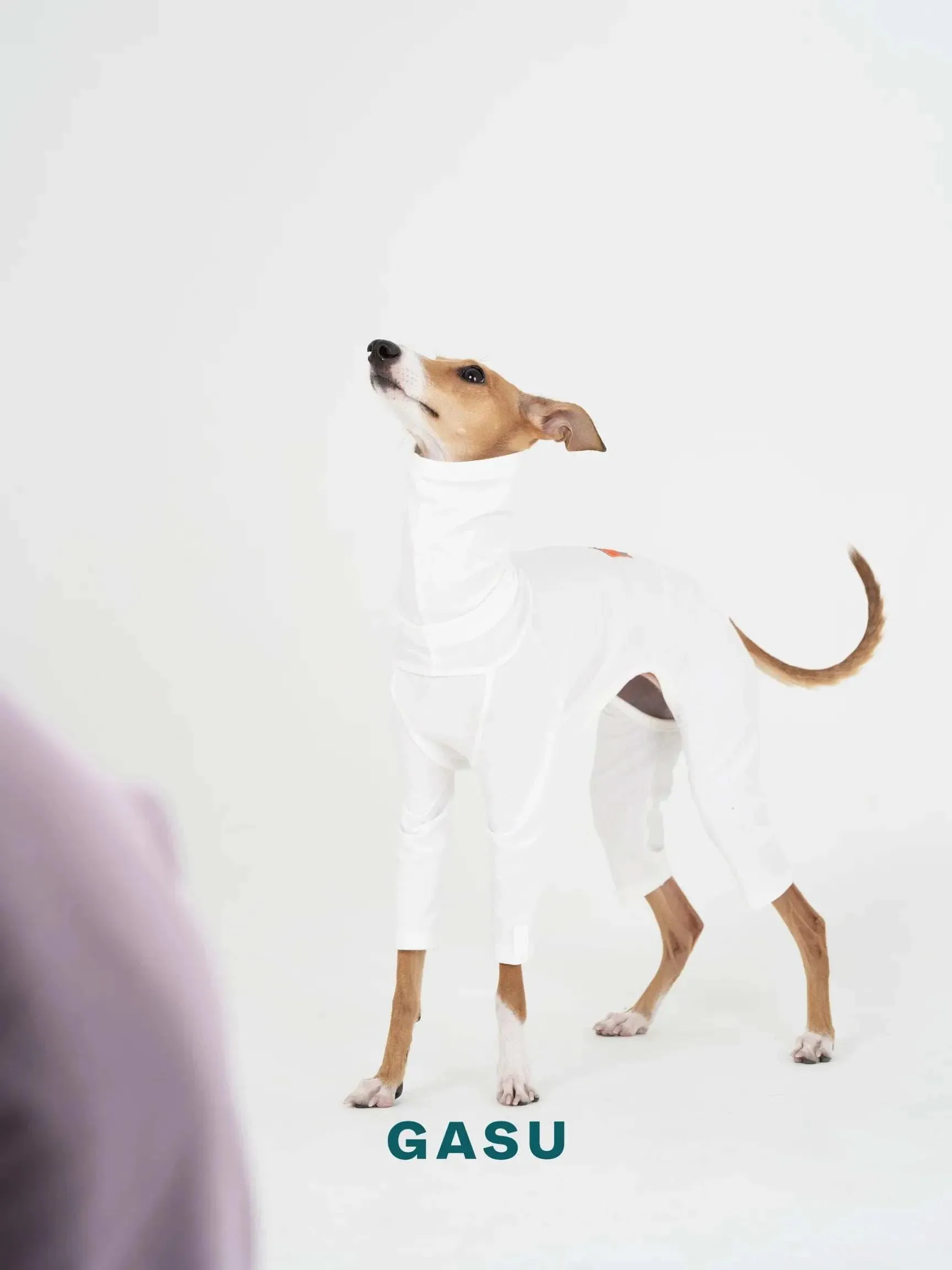 4-Leg Fit Cotton Dog Jumpsuit