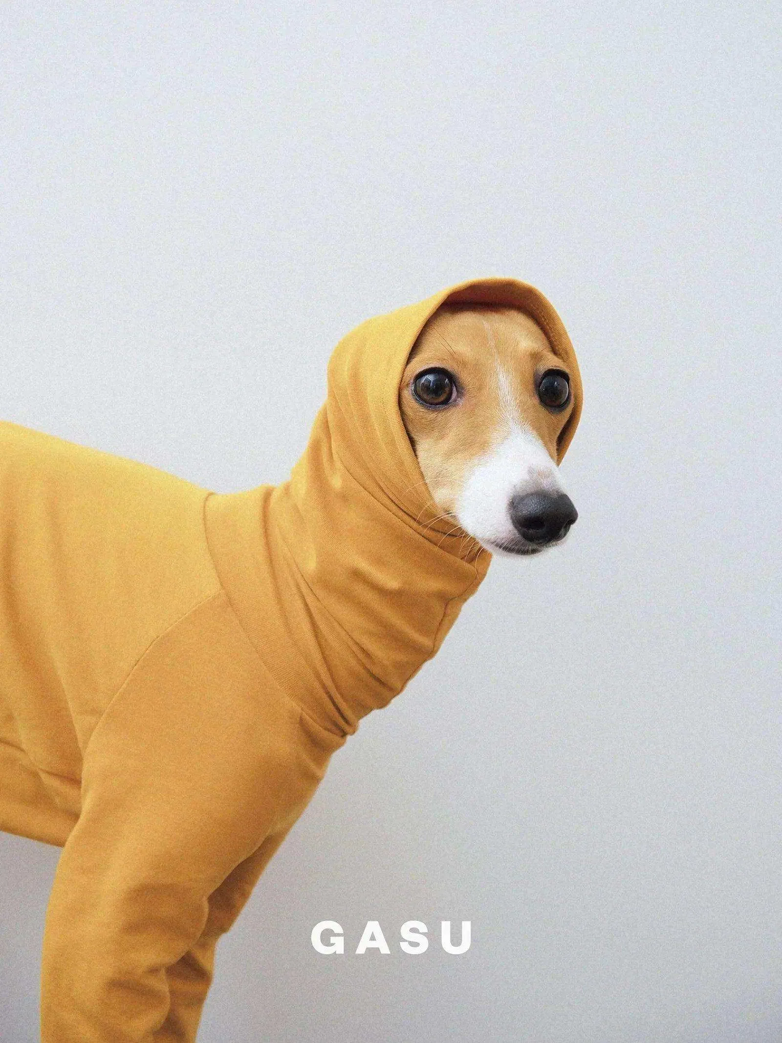 4-Leg Fit Cotton Dog Jumpsuit