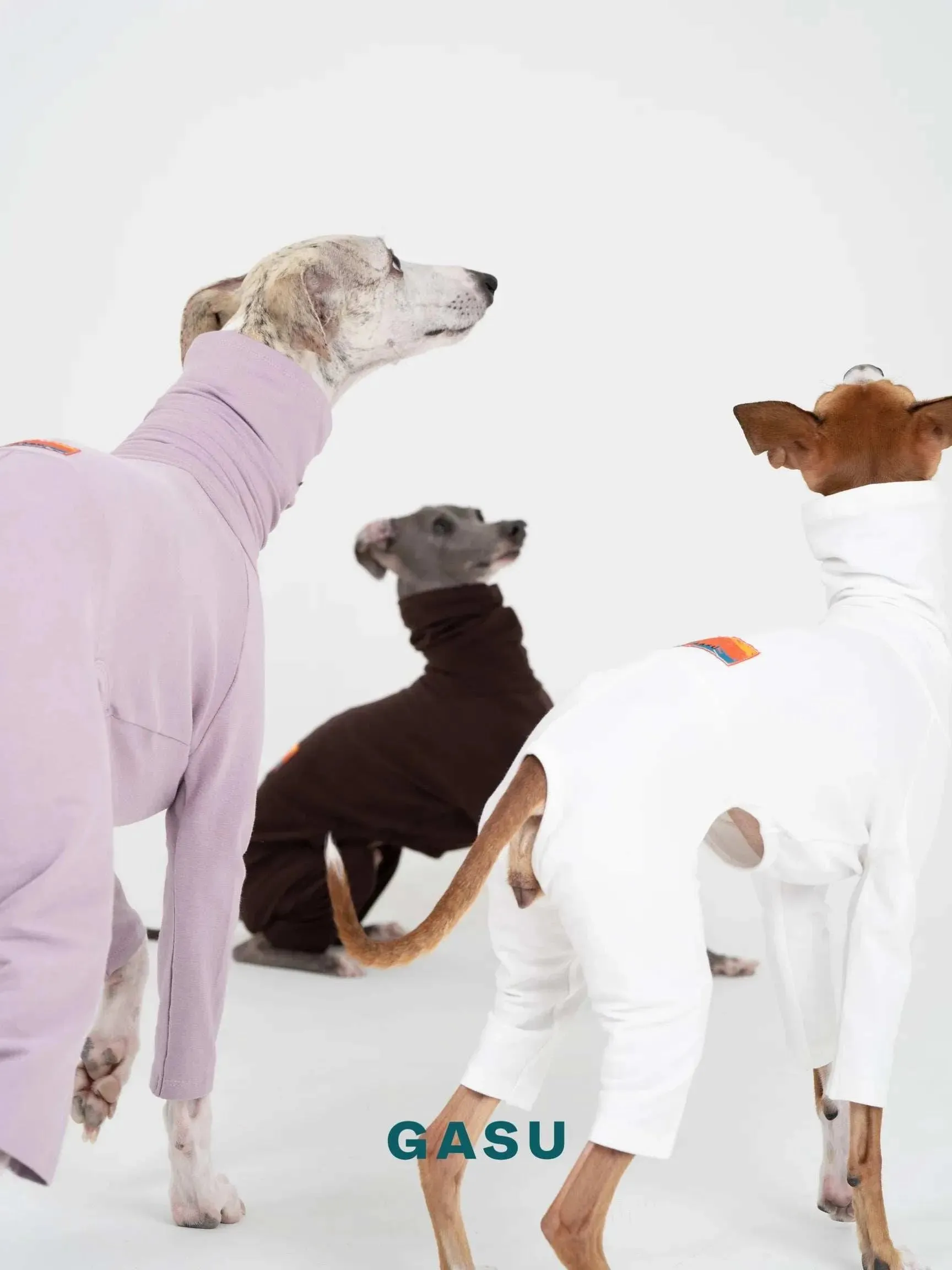 4-Leg Fit Cotton Dog Jumpsuit