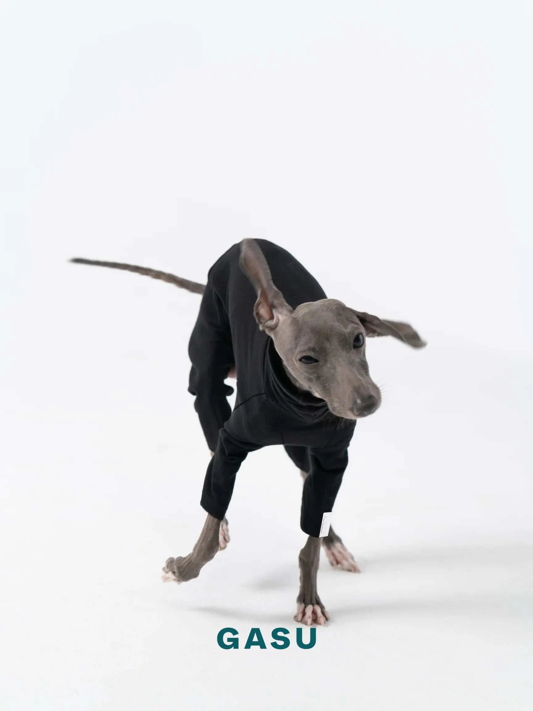 4-Leg Fit Cotton Dog Jumpsuit