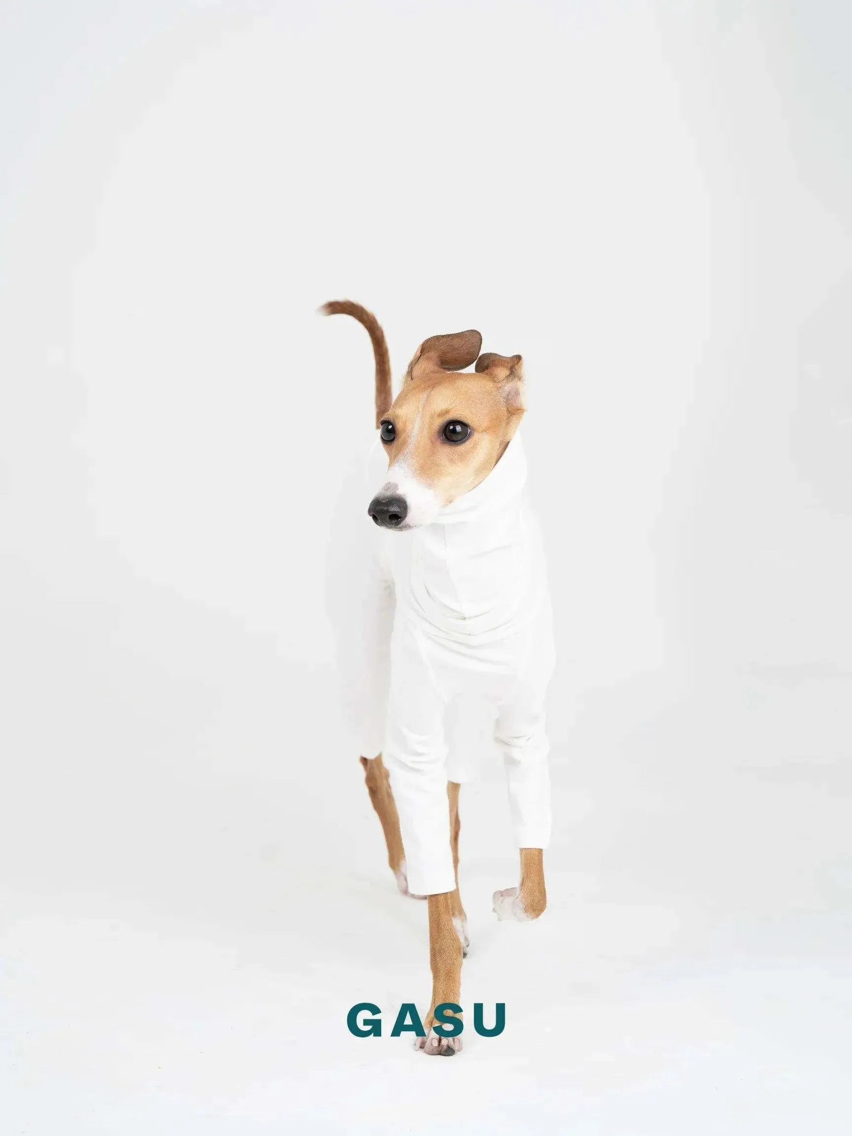 4-Leg Fit Cotton Dog Jumpsuit