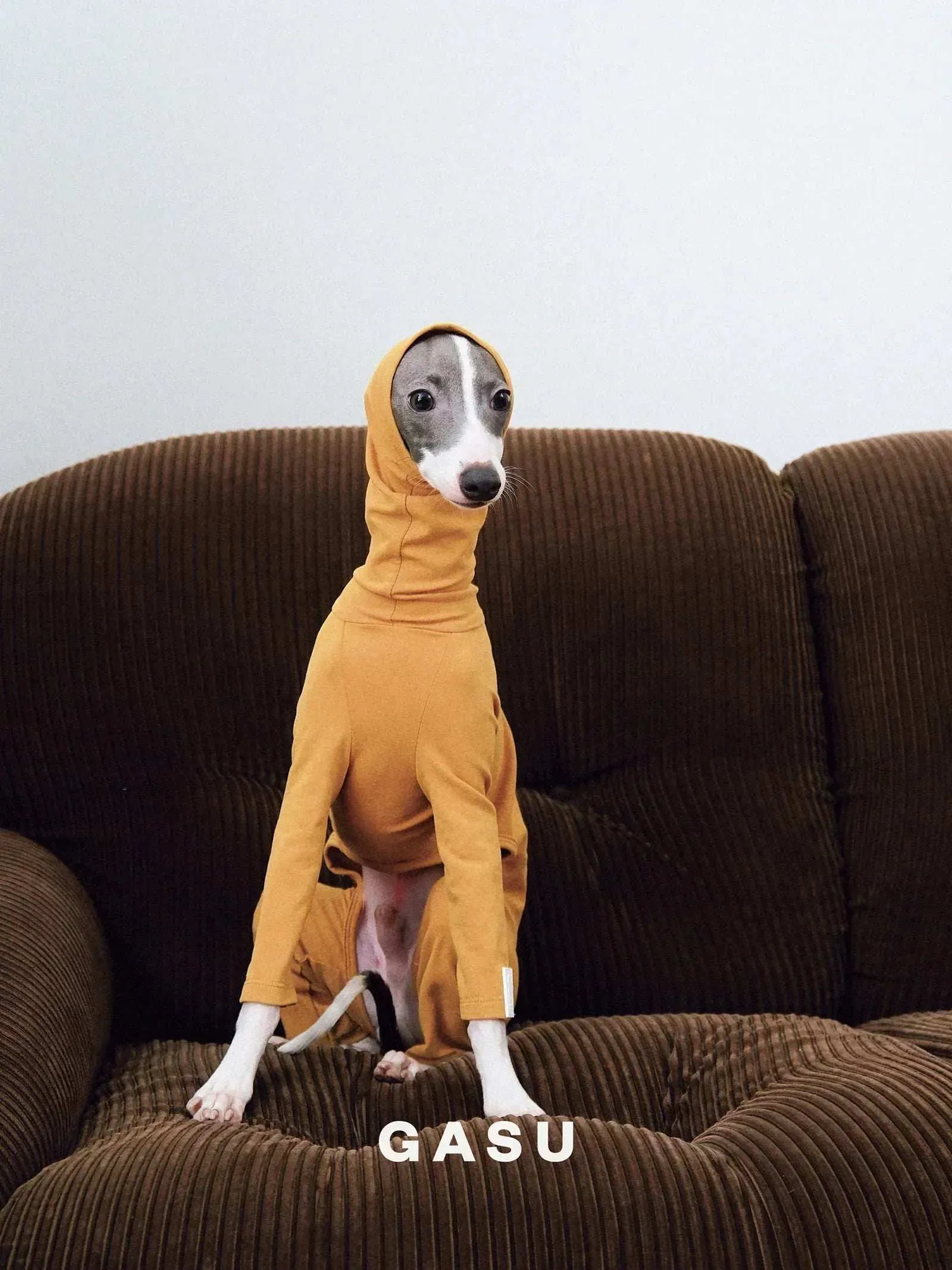 4-Leg Fit Cotton Dog Jumpsuit