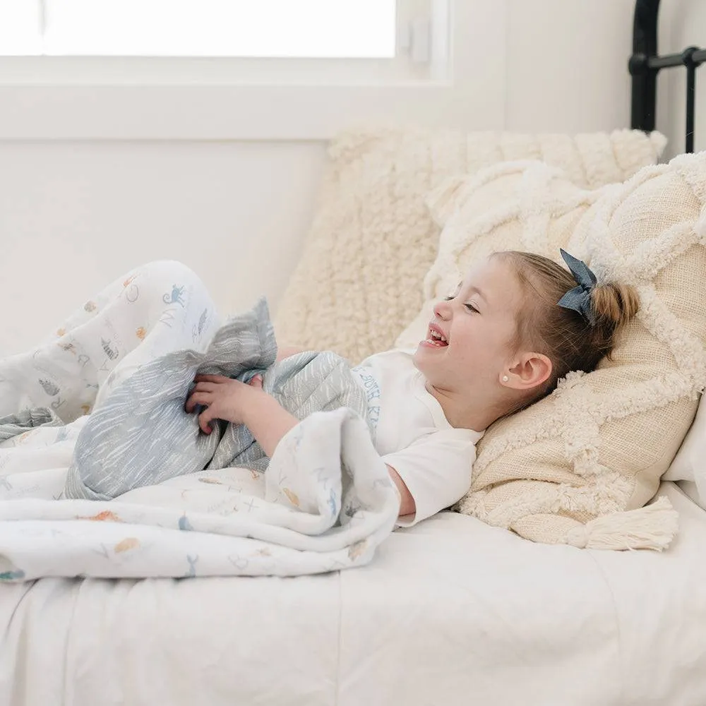 Animal Alphabet   Grey Crayon Oh So Soft Snuggle Blanket
