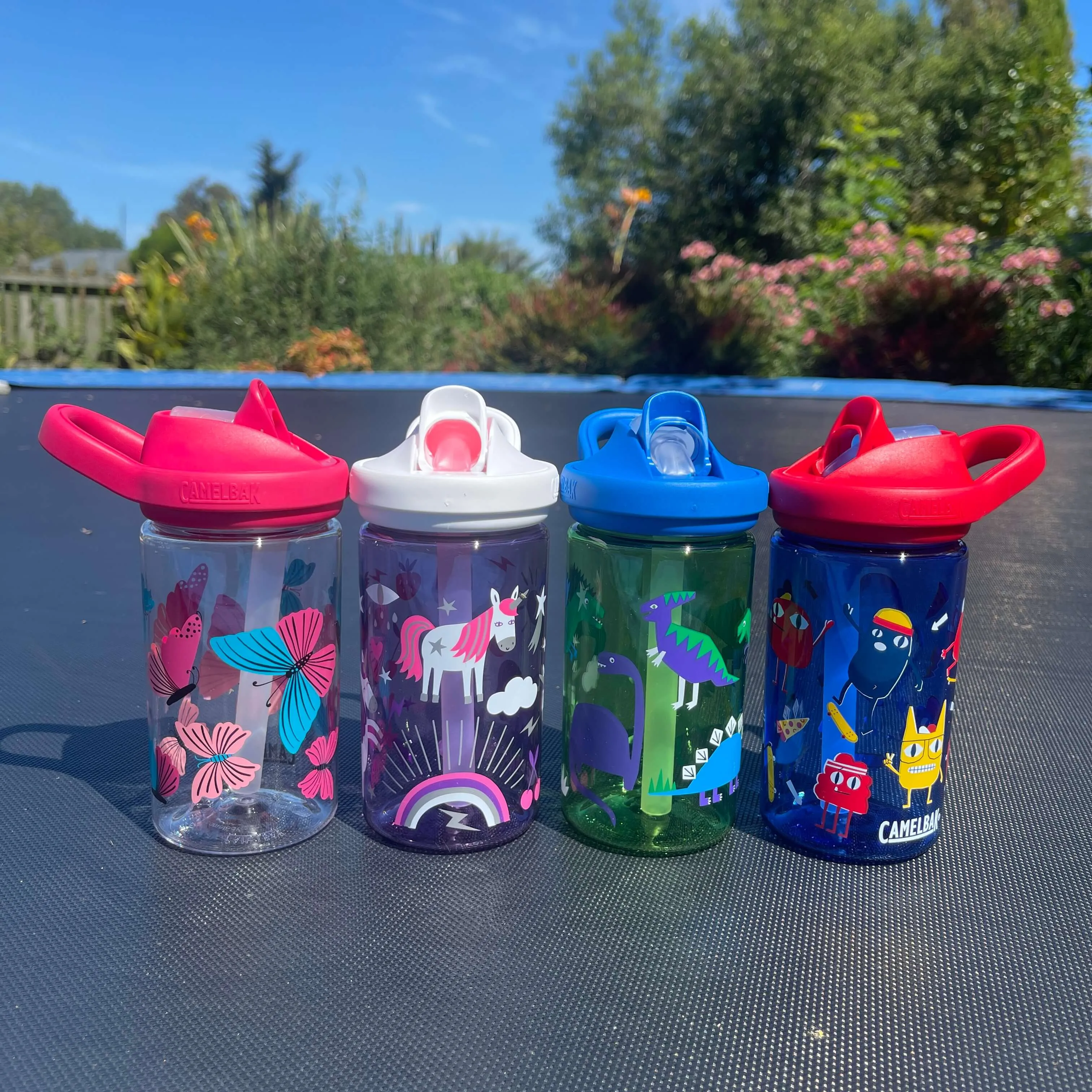 Camelbak Butterflies Drink Bottle