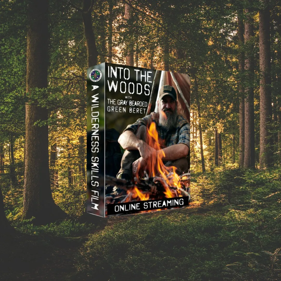 Into the Woods USB Flash Drive   Free Streaming Limited Offer