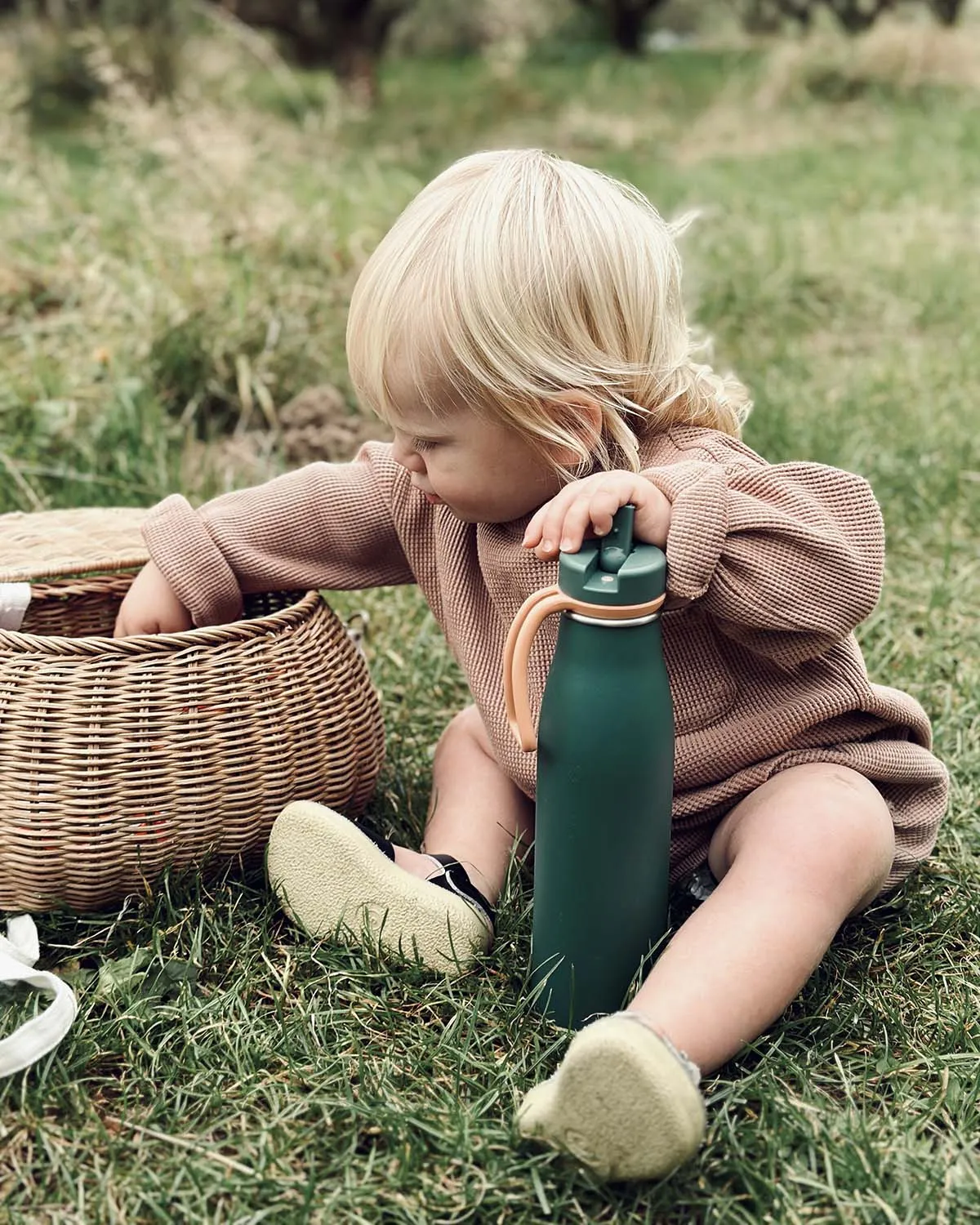 One Green Bottle Evolution 500ml Bottle - Sports Cap