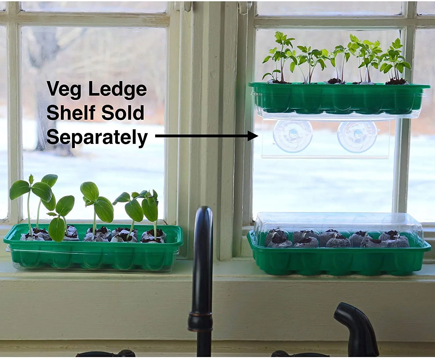 Window Garden - Basil Herb Kit - Grow Your Own Food. Germinate Seeds on Your Windowsill
