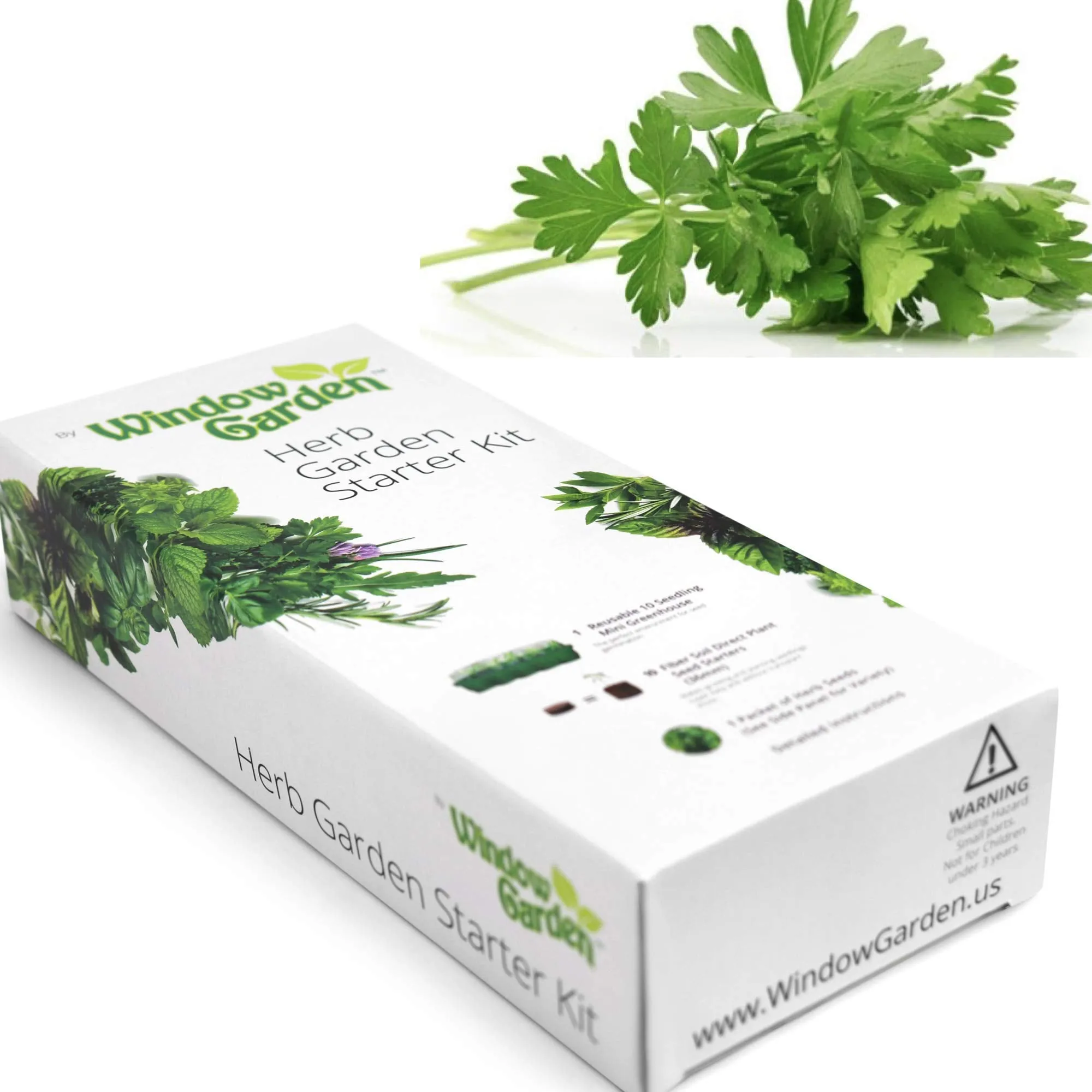 Window Garden - Basil Herb Kit - Grow Your Own Food. Germinate Seeds on Your Windowsill