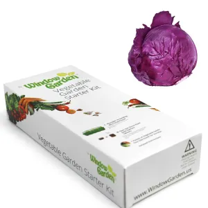 Window Garden - Red Cabbage Vegetable Starter Kit - Grow Your Own Food. Germinate Seeds