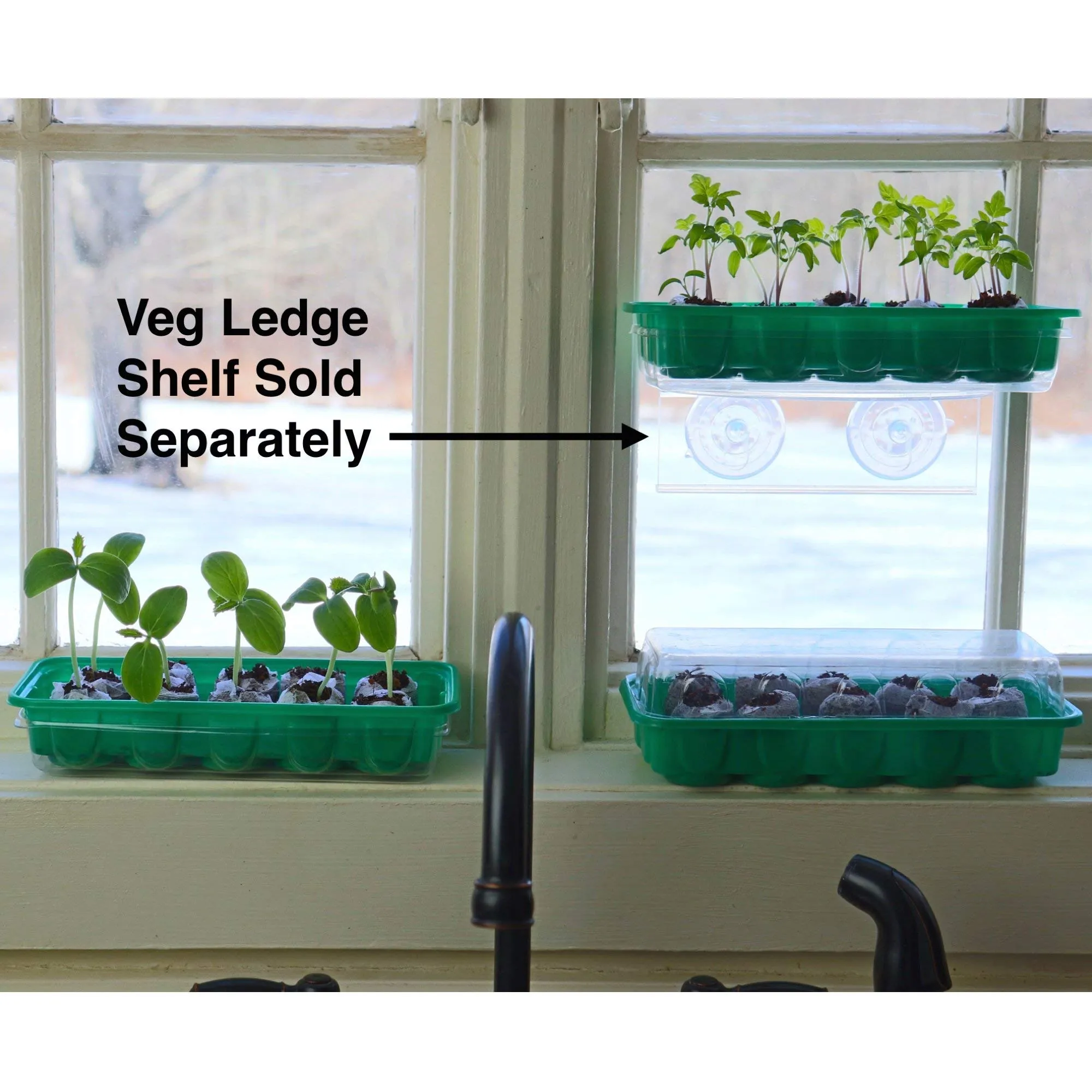 Window Garden - Red Cabbage Vegetable Starter Kit - Grow Your Own Food. Germinate Seeds